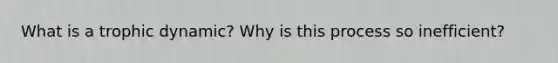 What is a trophic dynamic? Why is this process so inefficient?