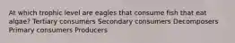 At which trophic level are eagles that consume fish that eat algae? Tertiary consumers Secondary consumers Decomposers Primary consumers Producers