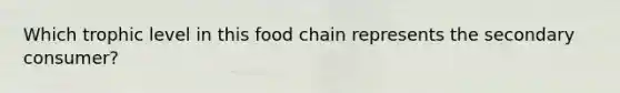 Which trophic level in this food chain represents the secondary consumer?