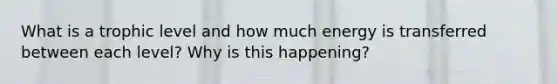 What is a trophic level and how much energy is transferred between each level? Why is this happening?
