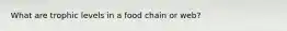 What are trophic levels in a food chain or web?