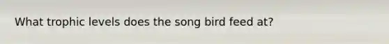 What trophic levels does the song bird feed at?