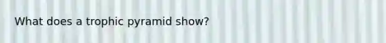 What does a trophic pyramid show?