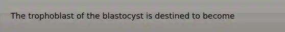 The trophoblast of the blastocyst is destined to become