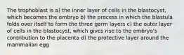 The trophoblast is a) the inner layer of cells in the blastocyst, which becomes the embryo b) the process in which the blastula folds over itself to form the three germ layers c) the outer layer of cells in the blastocyst, which gives rise to the embryo's contribution to the placenta d) the protective layer around the mammalian egg