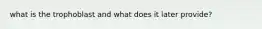 what is the trophoblast and what does it later provide?