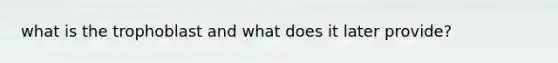 what is the trophoblast and what does it later provide?
