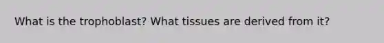 What is the trophoblast? What tissues are derived from it?