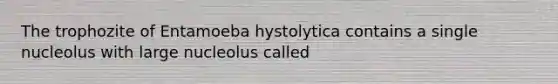 The trophozite of Entamoeba hystolytica contains a single nucleolus with large nucleolus called