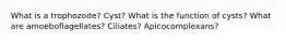 What is a trophozoite? Cyst? What is the function of cysts? What are amoeboflagellates? Ciliates? Apicocomplexans?