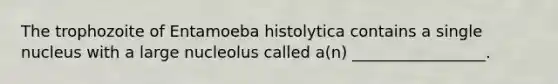 The trophozoite of Entamoeba histolytica contains a single nucleus with a large nucleolus called a(n) _________________.