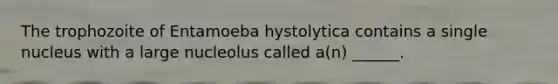 The trophozoite of Entamoeba hystolytica contains a single nucleus with a large nucleolus called a(n) ______.