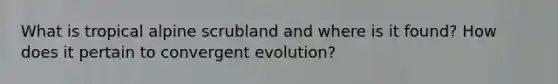 What is tropical alpine scrubland and where is it found? How does it pertain to convergent evolution?