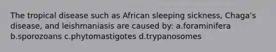 The tropical disease such as African sleeping sickness, Chaga's disease, and leishmaniasis are caused by: a.foraminifera b.sporozoans c.phytomastigotes d.trypanosomes