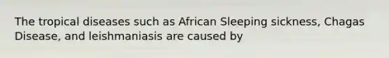 The tropical diseases such as African Sleeping sickness, Chagas Disease, and leishmaniasis are caused by