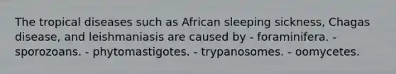 The tropical diseases such as African sleeping sickness, Chagas disease, and leishmaniasis are caused by - foraminifera. - sporozoans. - phytomastigotes. - trypanosomes. - oomycetes.