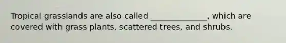 Tropical grasslands are also called ______________, which are covered with grass plants, scattered trees, and shrubs.