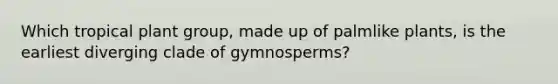 Which tropical plant group, made up of palmlike plants, is the earliest diverging clade of gymnosperms?