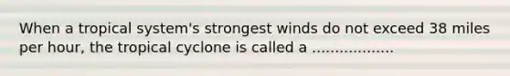 When a tropical system's strongest winds do not exceed 38 miles per hour, the tropical cyclone is called a ..................