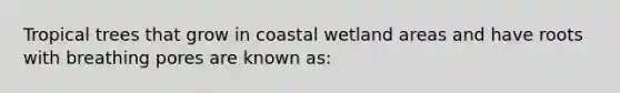 Tropical trees that grow in coastal wetland areas and have roots with breathing pores are known as: