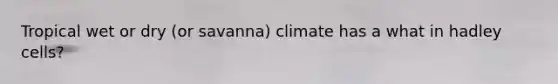 Tropical wet or dry (or savanna) climate has a what in hadley cells?