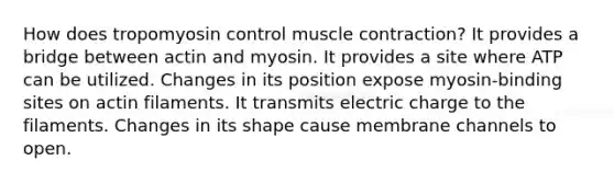 How does tropomyosin control muscle contraction? It provides a bridge between actin and myosin. It provides a site where ATP can be utilized. Changes in its position expose myosin-binding sites on actin filaments. It transmits electric charge to the filaments. Changes in its shape cause membrane channels to open.