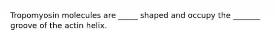 Tropomyosin molecules are _____ shaped and occupy the _______ groove of the actin helix.