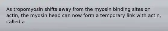 As tropomyosin shifts away from the myosin binding sites on actin, the myosin head can now form a temporary link with actin, called a