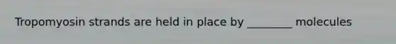 Tropomyosin strands are held in place by ________ molecules