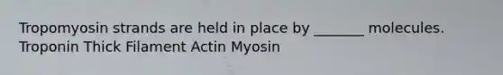 Tropomyosin strands are held in place by _______ molecules. Troponin Thick Filament Actin Myosin