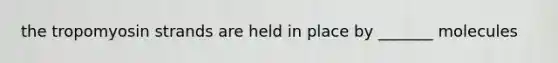 the tropomyosin strands are held in place by _______ molecules