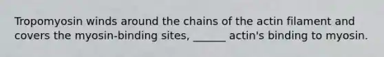 Tropomyosin winds around the chains of the actin filament and covers the myosin-binding sites, ______ actin's binding to myosin.