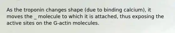 As the troponin changes shape (due to binding calcium), it moves the _ molecule to which it is attached, thus exposing the active sites on the G-actin molecules.