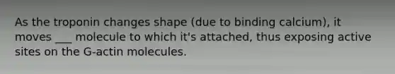 As the troponin changes shape (due to binding calcium), it moves ___ molecule to which it's attached, thus exposing active sites on the G-actin molecules.