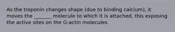 As the troponin changes shape (due to binding calcium), it moves the _______ molecule to which it is attached, this exposing the active sites on the G-actin molecules.