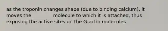 as the troponin changes shape (due to binding calcium), it moves the ________ molecule to which it is attached, thus exposing the active sites on the G-actin molecules