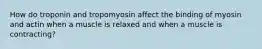 How do troponin and tropomyosin affect the binding of myosin and actin when a muscle is relaxed and when a muscle is contracting?