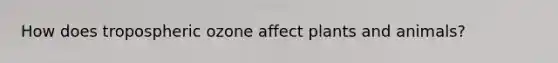 How does tropospheric ozone affect plants and animals?