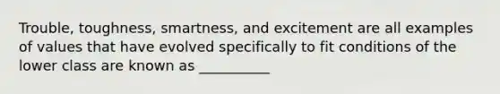 Trouble, toughness, smartness, and excitement are all examples of values that have evolved specifically to fit conditions of the lower class are known as __________