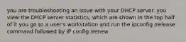 you are troubleshooting an issue with your DHCP server. you view the DHCP server statistics, which are shown in the top half of it you go to a user's workstation and run the ipconfig /release command followed by IP config /renew