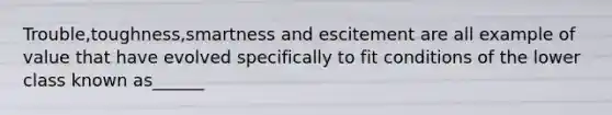 Trouble,toughness,smartness and escitement are all example of value that have evolved specifically to fit conditions of the lower class known as______