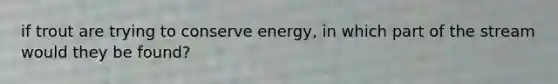 if trout are trying to conserve energy, in which part of the stream would they be found?