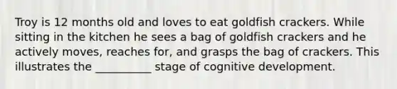 Troy is 12 months old and loves to eat goldfish crackers. While sitting in the kitchen he sees a bag of goldfish crackers and he actively moves, reaches for, and grasps the bag of crackers. This illustrates the __________ stage of cognitive development.