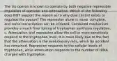 The trp operon is known to operate by both negative repressible regulation of operator and attenuation. Which of the following does NOT support the reason as to why dual control exists to regulate the operon? The repression alone is never complete, and some transcription can be initiated. Combined mechanism provides a much finer tuning of tryptophan synthesis regulation. c. Attenuation and repression allow the cell to more sensitively respond to the tryptophan level. It is most likely due to the fact that the attenuation is the evolutionary relic, which by accident has remained. Repression responds to the cellular levels of tryptophan, while attenuation responds to the number of tRNA charged with tryptophan.