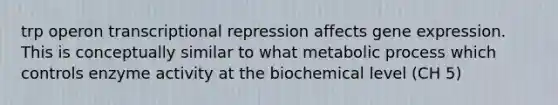 trp operon transcriptional repression affects gene expression. This is conceptually similar to what metabolic process which controls enzyme activity at the biochemical level (CH 5)