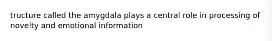 tructure called the amygdala plays a central role in processing of novelty and emotional information