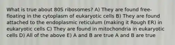 What is true about 80S ribosomes? A) They are found free-floating in the cytoplasm of eukaryotic cells B) They are found attached to the endoplasmic reticulum (making it Rough ER) in eukaryotic cells C) They are found in mitochondria in eukaryotic cells D) All of the above E) A and B are true A and B are true