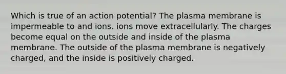 Which is true of an action potential? The plasma membrane is impermeable to and ions. ions move extracellularly. The charges become equal on the outside and inside of the plasma membrane. The outside of the plasma membrane is negatively charged, and the inside is positively charged.