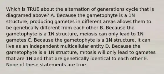 Which is TRUE about the alternation of generations cycle that is diagramed above? A. Because the gametophyte is a 1N structure, producing gametes in different areas allows them to be genetically different from each other B. Because the gametophyte is a 1N structure, meiosis can only lead to 1N gametes C. Because the gametophyte is a 1N structure, it can live as an independent multicellular entity D. Because the gametophyte is a 1N structure, mitosis will only lead to gametes that are 1N and that are genetically identical to each other E. None of these statements are true