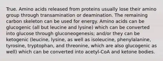 True. <a href='https://www.questionai.com/knowledge/k9gb720LCl-amino-acids' class='anchor-knowledge'>amino acids</a> released from proteins usually lose their amino group through transamination or deamination. The remaining carbon skeleton can be used for energy. Amino acids can be glucogenic (all but leucine and lysine) which can be converted into glucose through gluconeogenesis; and/or they can be ketogenic (leucine, lysine, as well as isoleucine, phenylalanine, tyrosine, tryptophan, and threonine, which are also glucogenic as well) which can be converted into acetyl-CoA and <a href='https://www.questionai.com/knowledge/kR9thwvAYz-ketone-bodies' class='anchor-knowledge'>ketone bodies</a>.